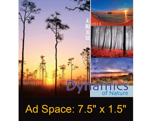 Desk Calendar DC19
